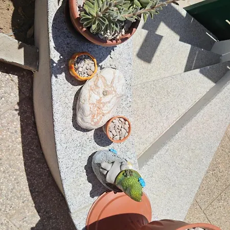 公寓 Manu House 奧爾比亞