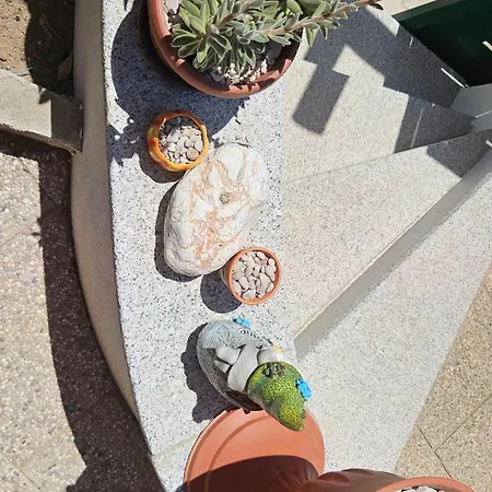 公寓 Manu House 奧爾比亞